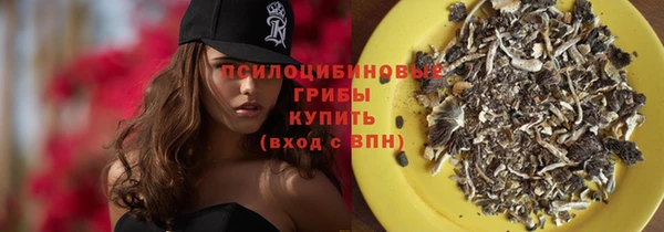 трава Елизово