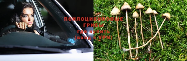 спайс Елабуга