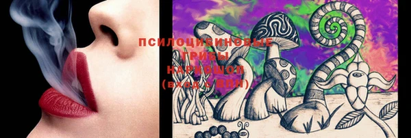 трава Елизово