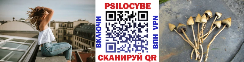 Купить закладки  Ишимбай  Галлюциногенные грибы Psilocybe 